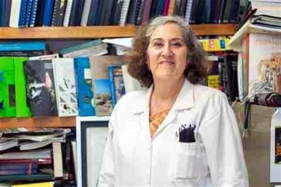 Este martes arranca el coloquio 'La arqueología como ciencia: Formación y enseñanza con una mirada interdisciplinaria. Homenaje a la doctora Linda Manzanilla'.