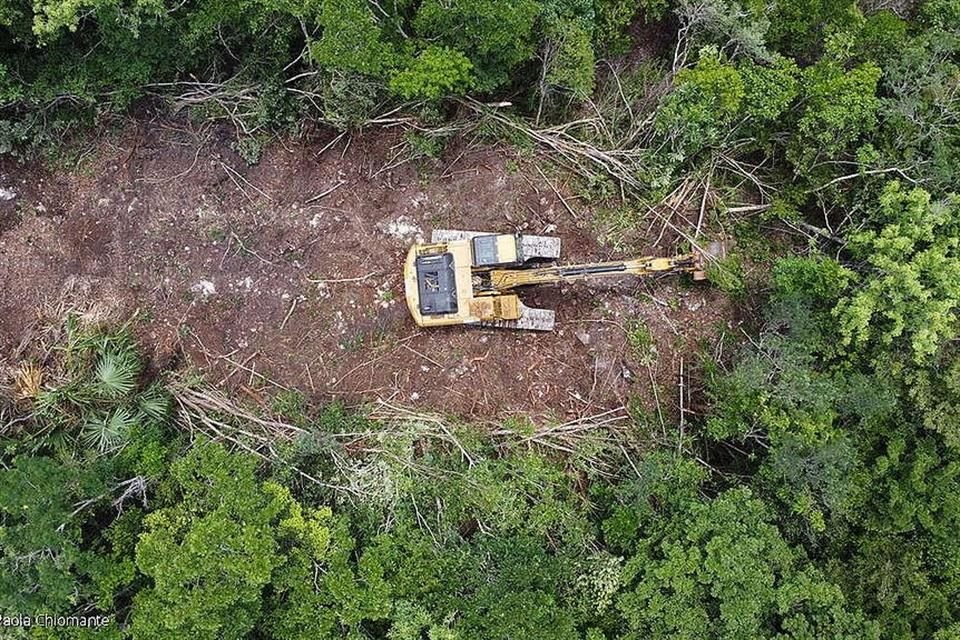 Greenpeace México exhortó a la Semarnat a no autorizar la MIA del Tramo 5 Norte del Tren Maya; señala que tiene falsedades e imprecisiones.