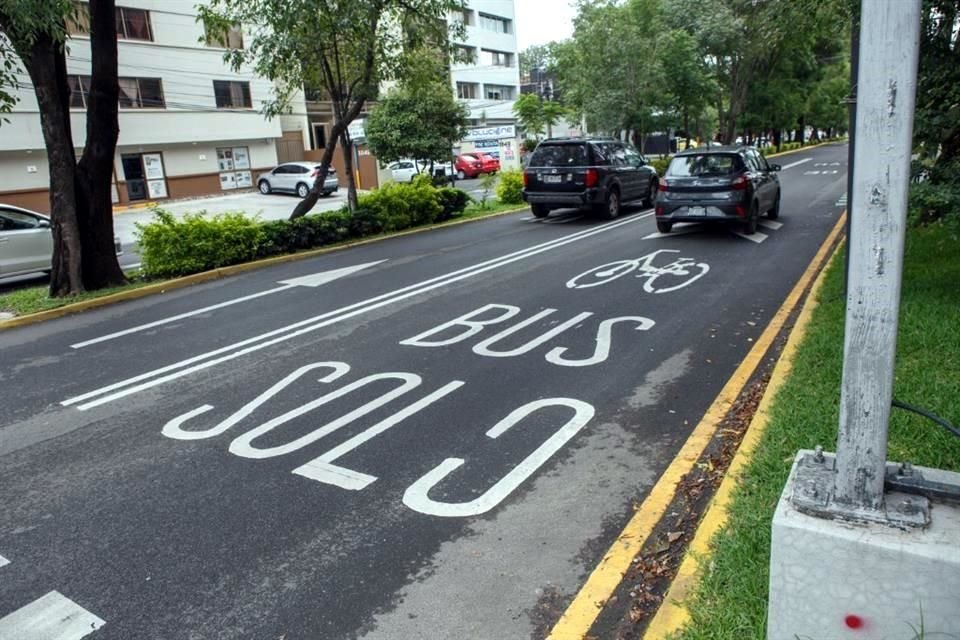 La señalética en el piso indica que solamente debe ser utilizado por ciclistas y transporte público.