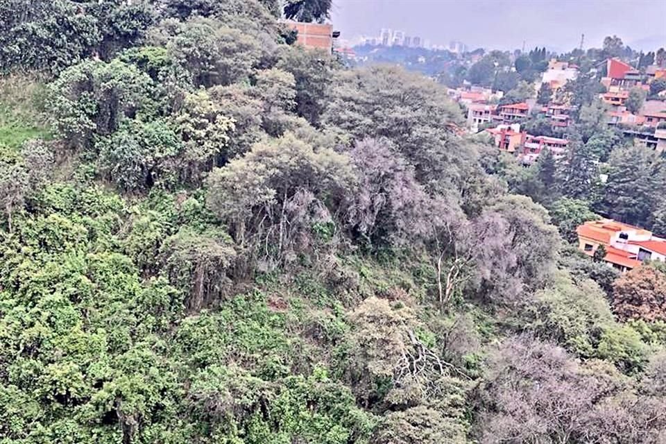 Vecinos señalan que desde 2018 se dispararon las obras en la zona de la Barranca de Río San Joaquín, que es Área Natural Protegida.