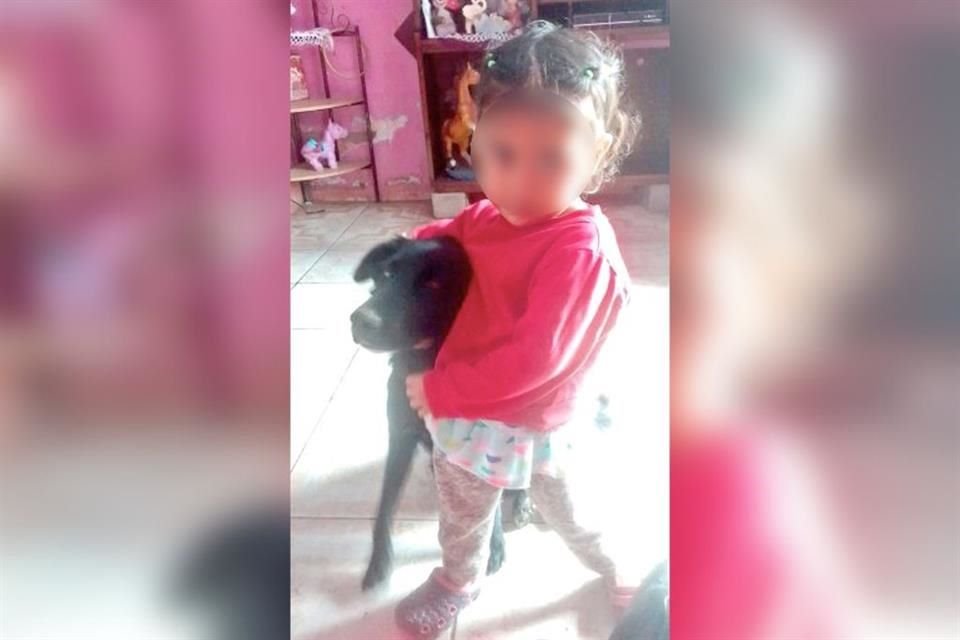 Camila Martínez, una niña de 3 años, fue declarada muerta dos veces por personal de un hospital en SLP; su familia acusa negligencia médica.