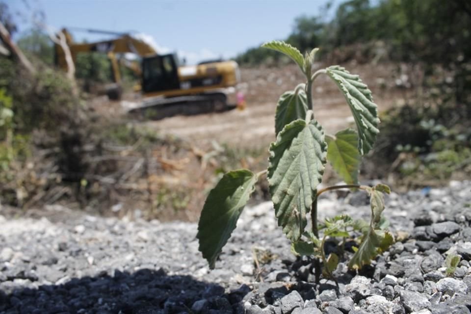 Según la Fiscalía estatal, los restos humanos fueron hallados en un rancho.