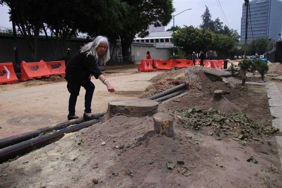 'Si dicen que tenían permiso, ¿por qué los cortaron de noche, para que no les reclamáramos?', señaló una vecina.