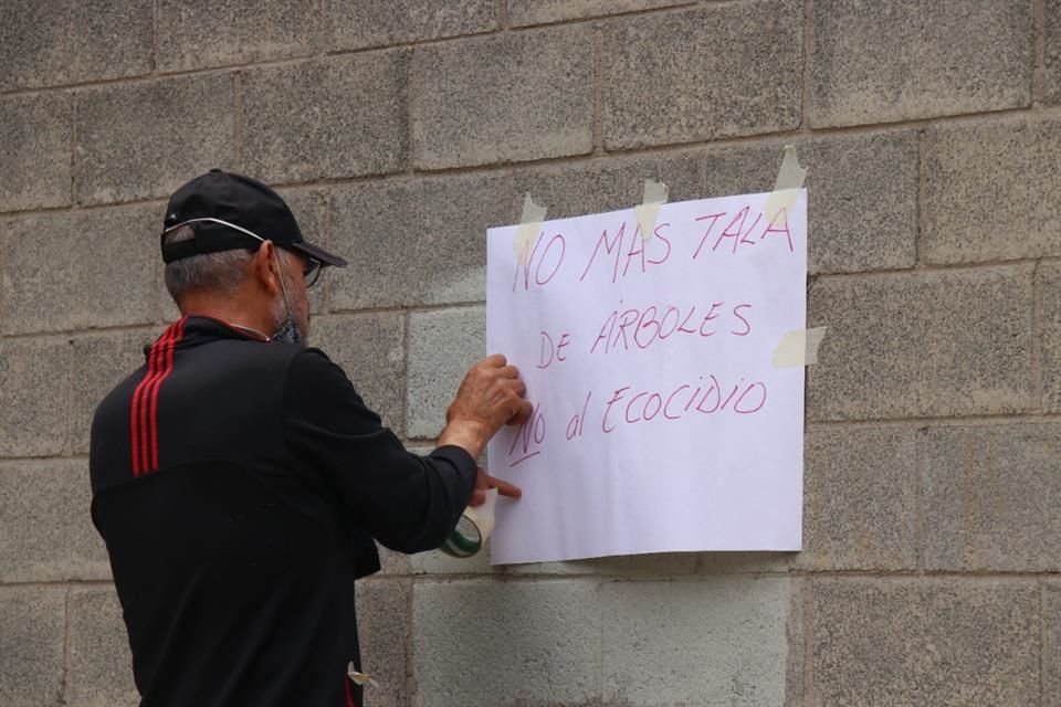 De acuerdo con los colonos de 186 árboles por derribar, en la madrugada trabajadores de la obra retiraron 126.