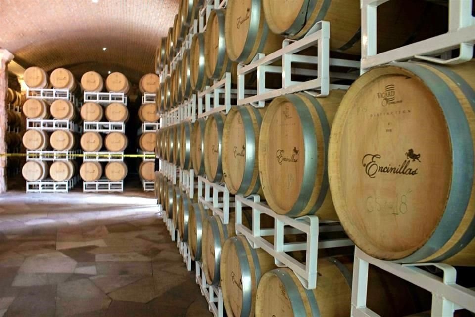La vendimia de Merlot, Petit Verdot y Tempranillo está prácticamente terminada, el resto de los varietales aguardan pacientes el regreso de los días soleados para alcanzar su madurez óptima.