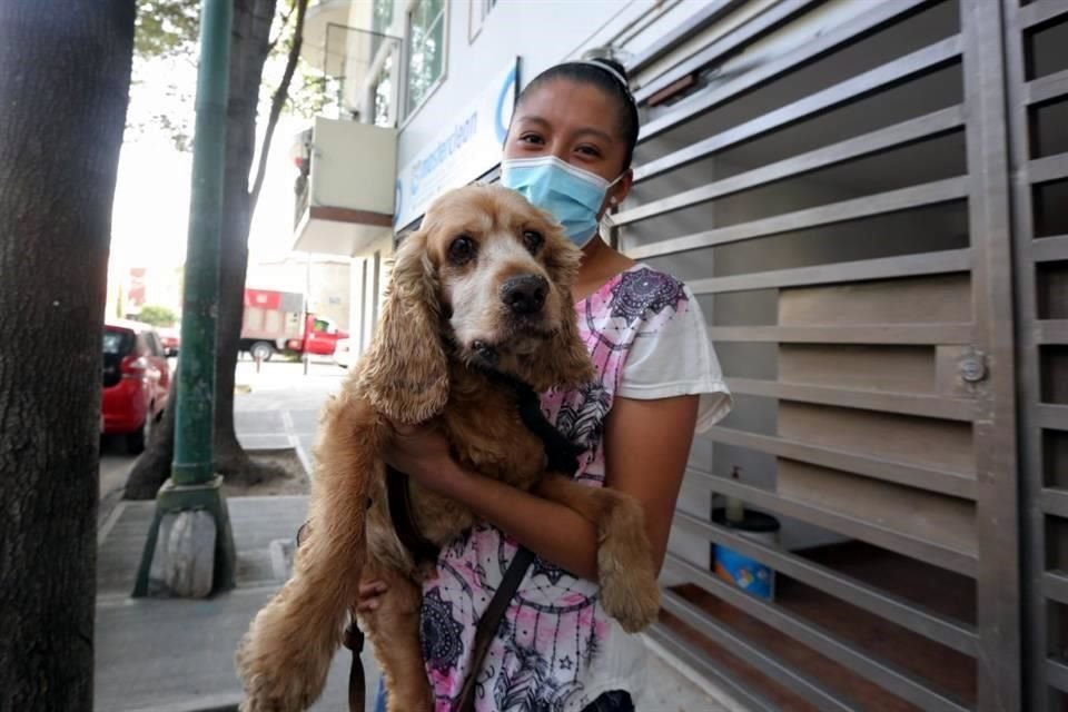 El Manual de Campo Valoración del Bienestar Animal en Perros y Gatos es un manual a para saber si una mascota padece maltrato.