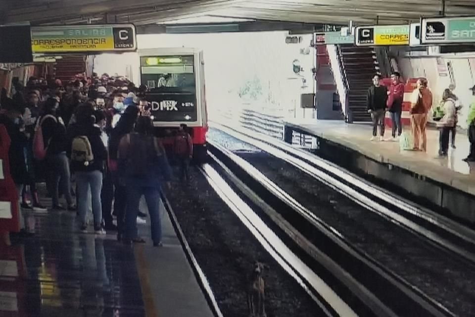 El usuario y el can fueron retirados de la zona de vías por personal del Metro.