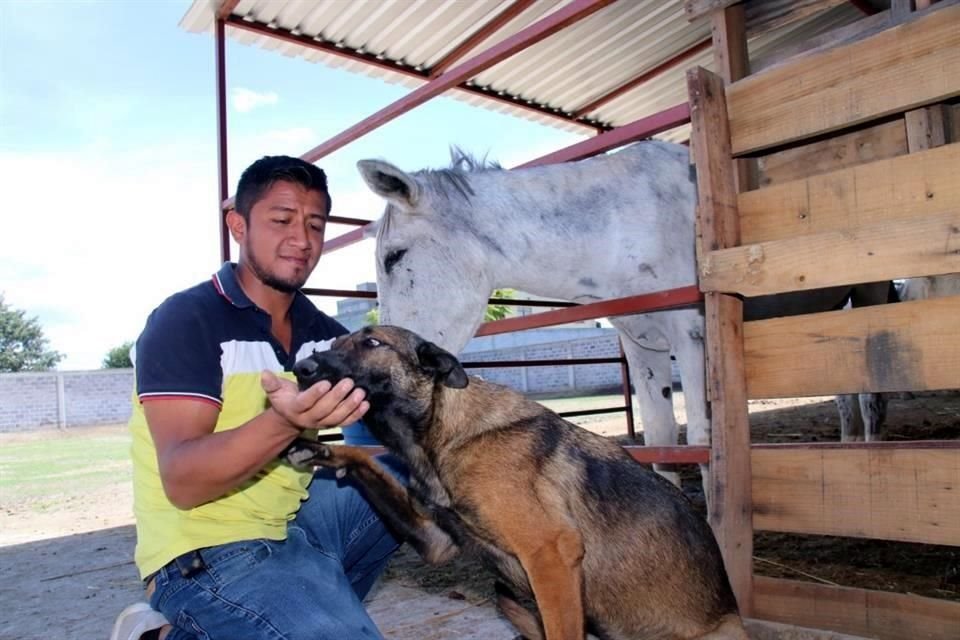 Los activistas promueven entre los recolectores de basura el intercambio de los ejemplares por vehículos motorizados.