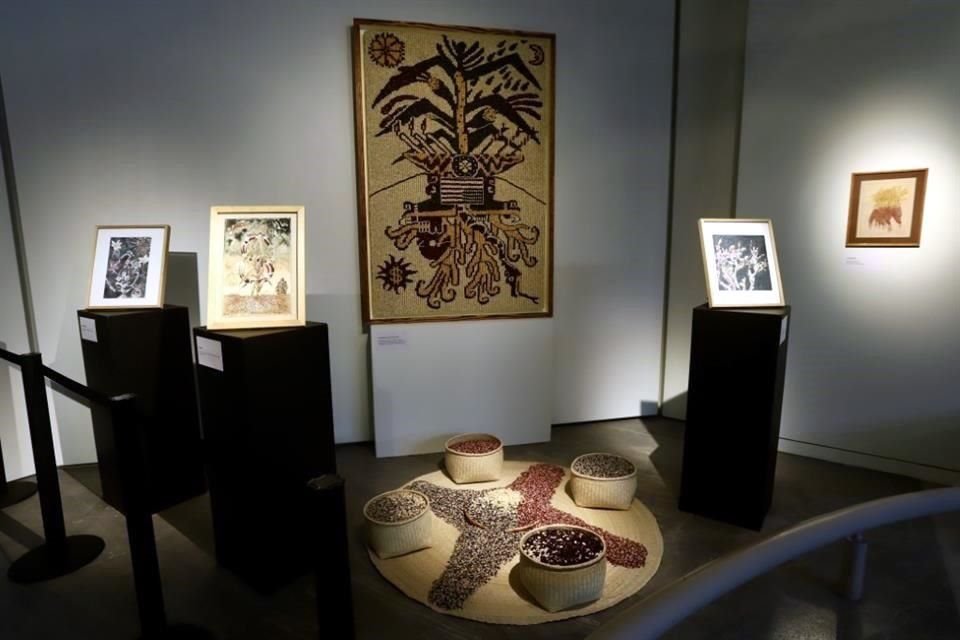 Santiago Robles exhibe la muestra '¡Ya nos cayó el chahuixtle!' en el Museo Nacional de la Revolución, con obras realizadas con granos.