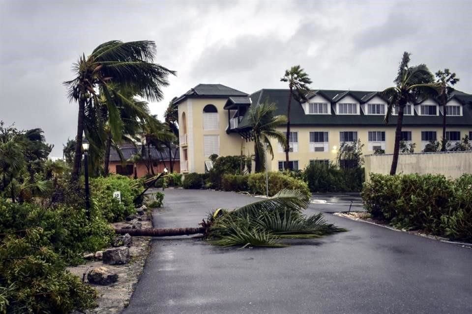 Palmeras caídas en la entrada de un hotel en Providenciales, en Islas Turcas y Caicos.