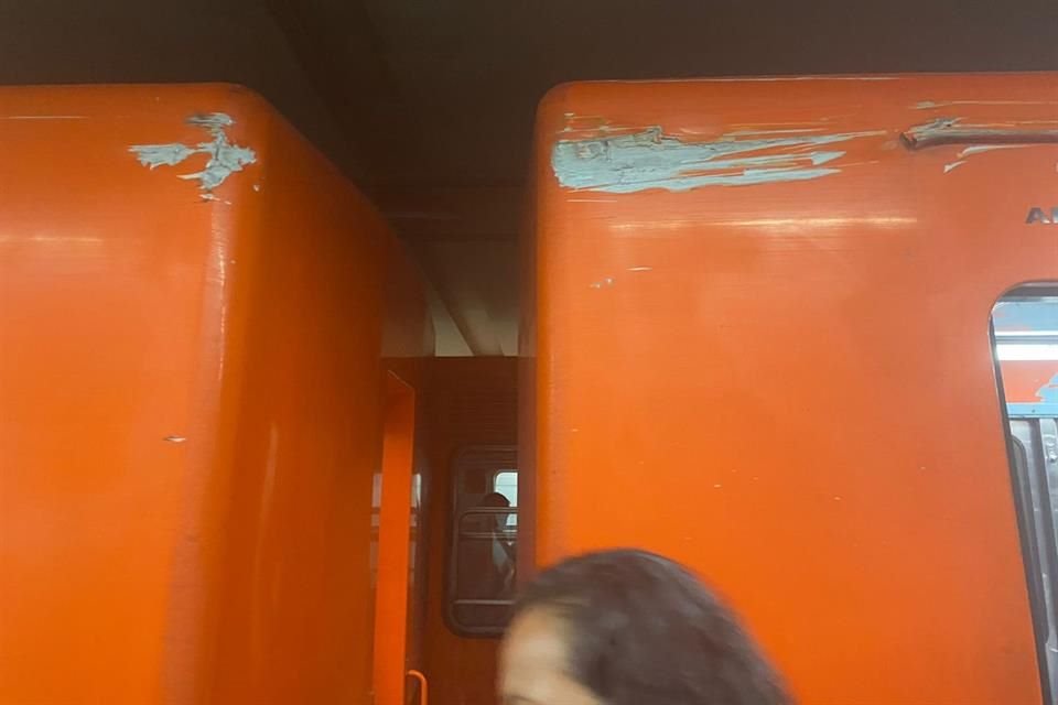 Los usuarios observaron distintas raspaduras en el tren. 