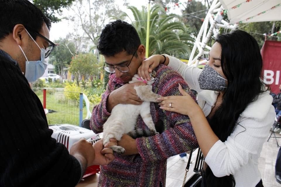 La jornada de vacunación antirrábica canina y felina inició este domingo y continuará hasta el 1 de octubre en las 16 alcaldías.