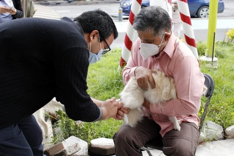 La jornada de vacunación antirrábica canina y felina inició este domingo y continuará hasta el 1 de octubre en las 16 alcaldías.