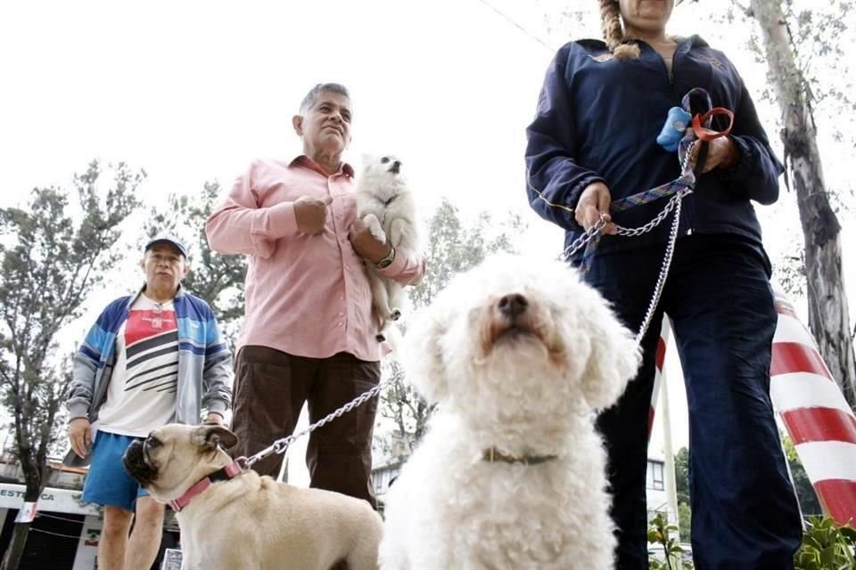 La jornada de vacunación antirrábica canina y felina inició este domingo y continuará hasta el 1 de octubre en las 16 alcaldías.