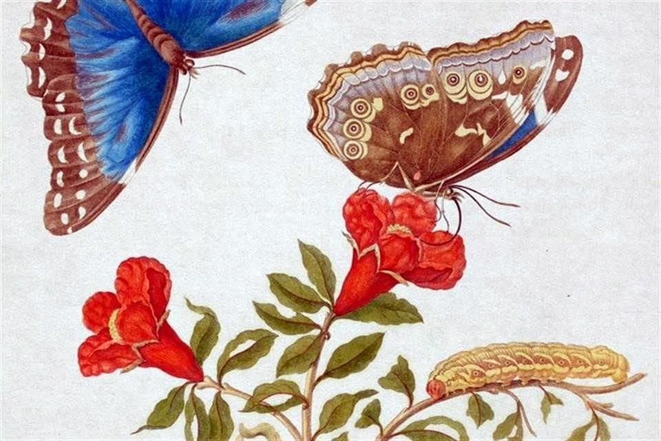 El nuevo número de la revista electrónica 'Otros Diálogos', editada por El Colegio de México, tiene por tema: 'Emergencia ambiental: El planeta dice basta'.