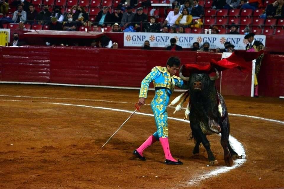 A iniciativa de PAN y PVEM se busca la prohibición de las peleas de perros y las corridas de toros y novillos.