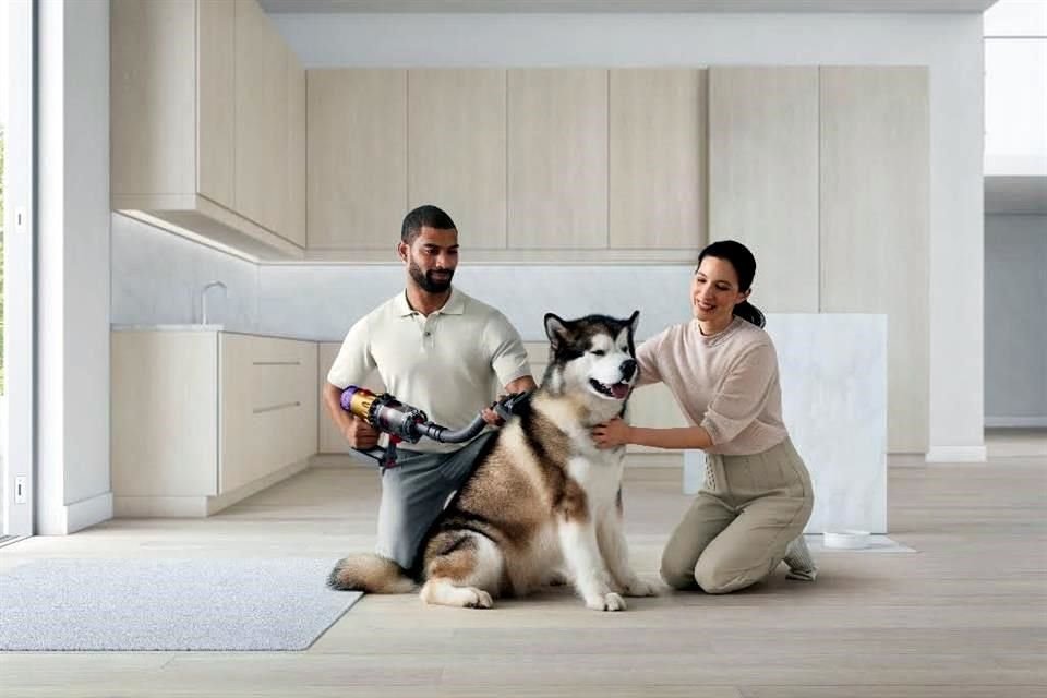 Dyson ofrece estas herramientas para capturar y eliminar el pelaje y las partículas antes que sean liberadas al hogar.
