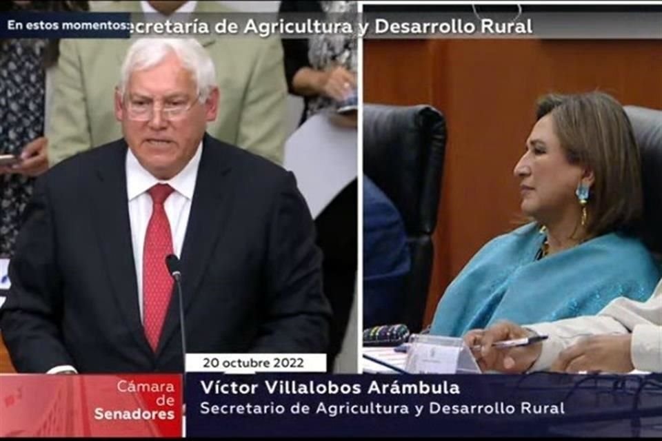 Villalobos en su comparecencia de este jueves ante senadores.