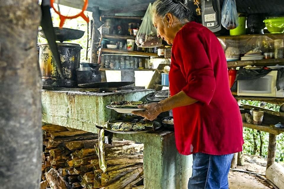 Su camino, nutrido de ambiciones, magia, sabores y experiencias, empieza en Mazatlán Villa de Flores, en el corazón de La Cañada oaxaqueña.