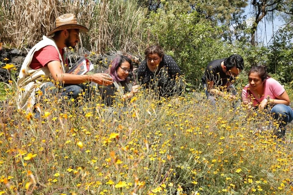 En el Jardín Botánico realizan el recorrido 'Las plantas del más acá para los del más allá'.