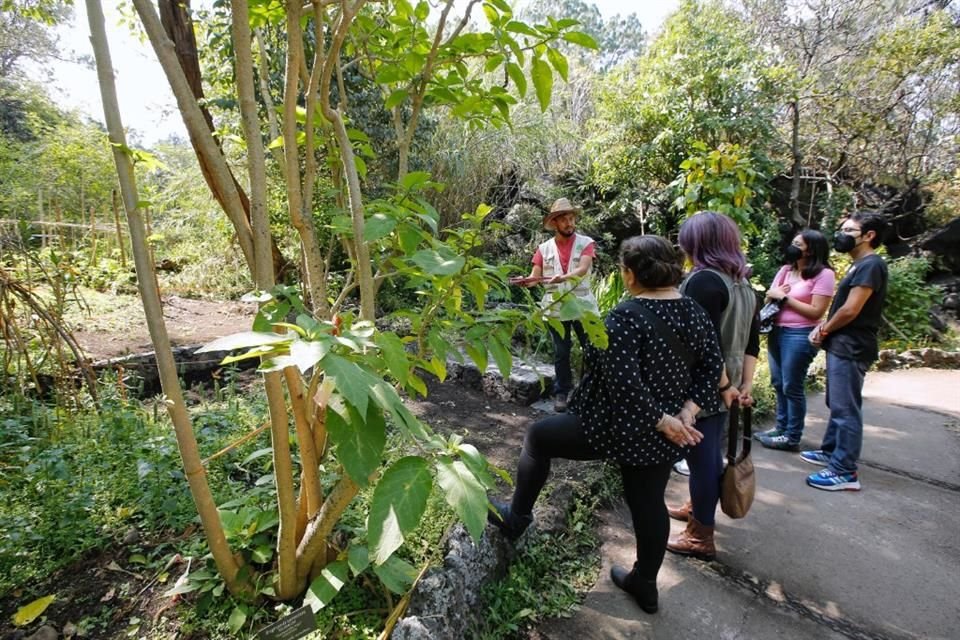 El objetivo del recorrido es difundir la importancia los recursos botánicos y vegetales en el País.