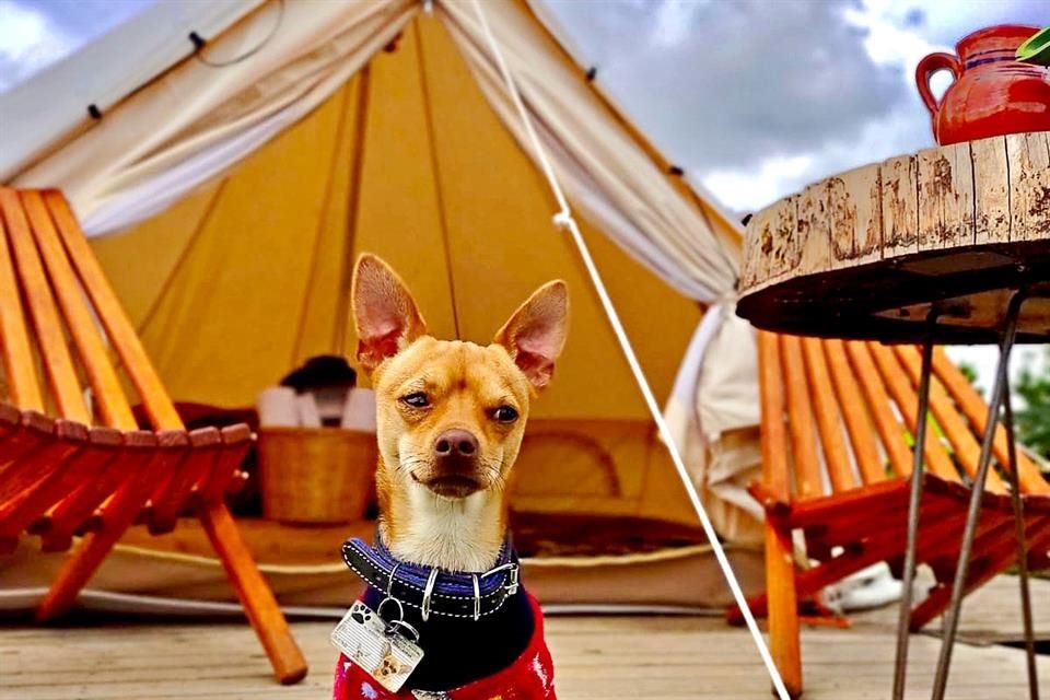 En Nanacamilpa, Tlaxcala, te espera Glampling Octli, ideal para escapar con tu mejor amigo de cuatro patitas o garritas.