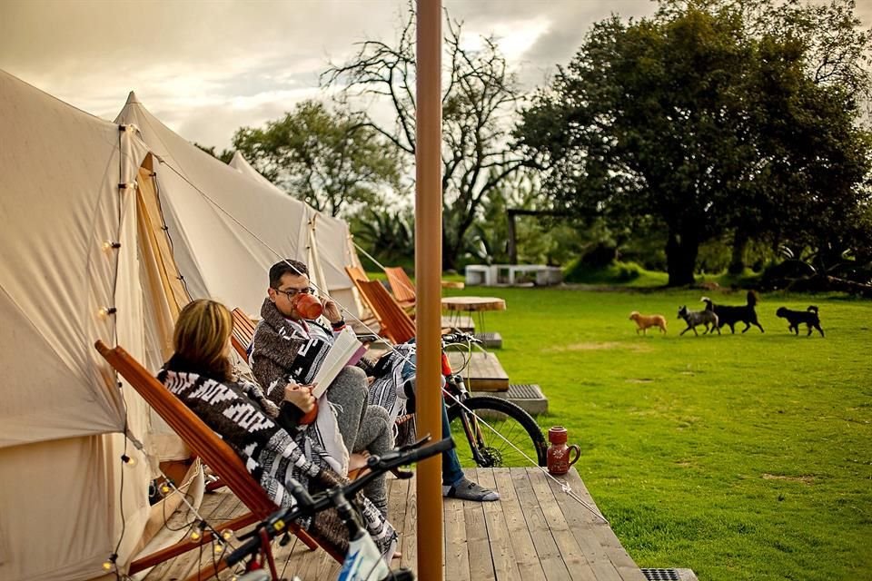 En Nanacamilpa, Tlaxcala, te espera Glampling Octli, ideal para escapar con tu mejor amigo de cuatro patitas o garritas.