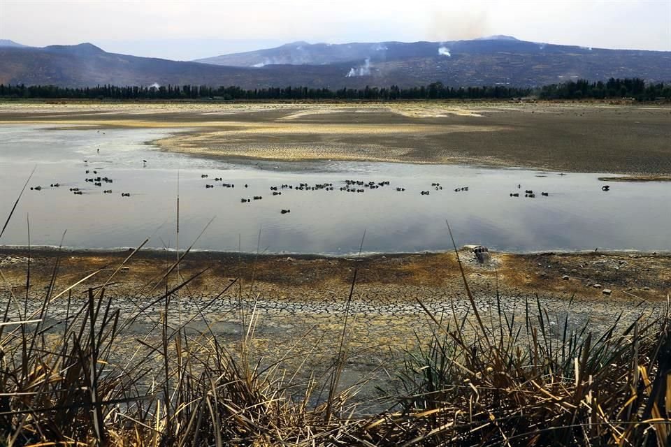 Una parte de las Lagunas de Xico se han ido secando y en otros puntos presenta disminución de agua.
