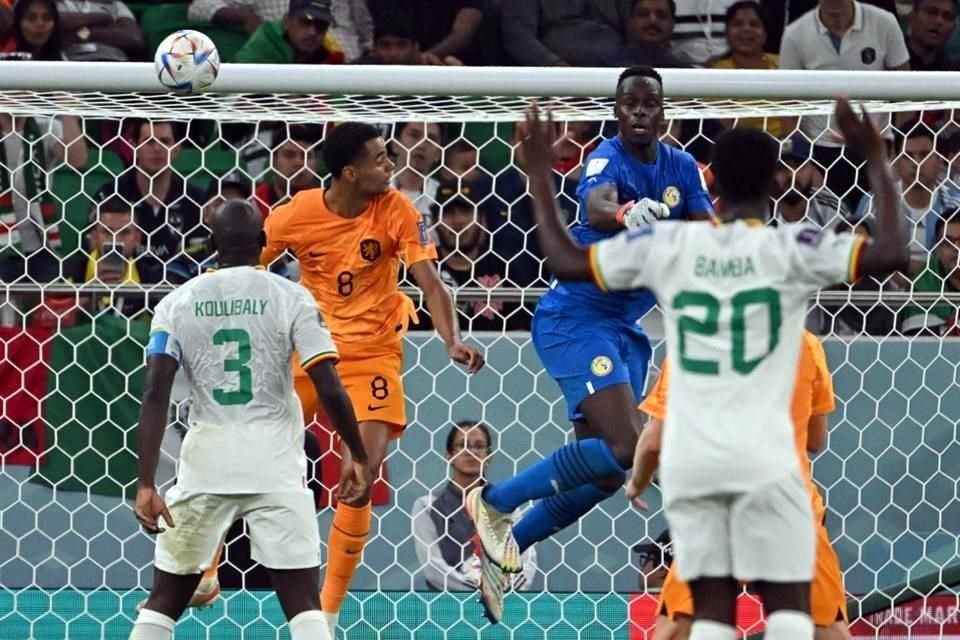 Gakpo le ganó en este salto a Edouard Mendy, portero de Senegal y del Chelsea, para abrir el marcador.