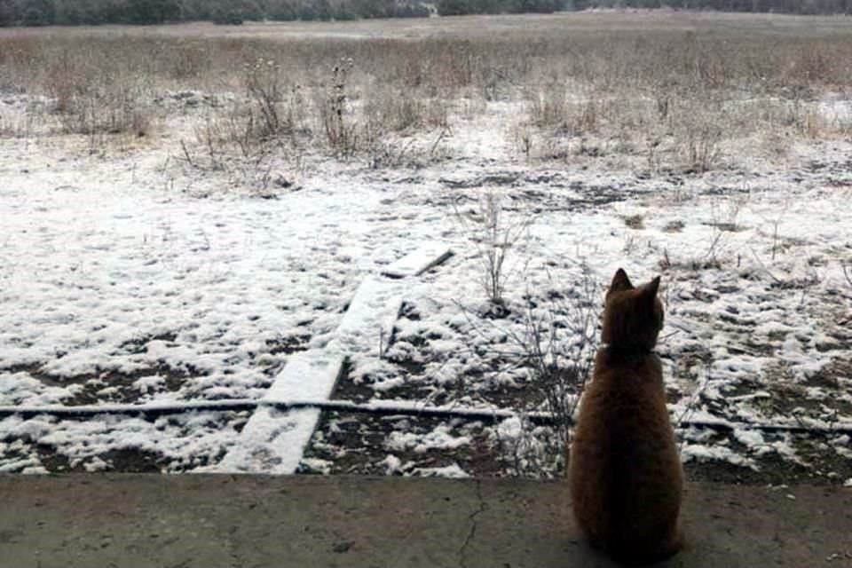 Hasta el momento no se han reportado cierres carreteros.