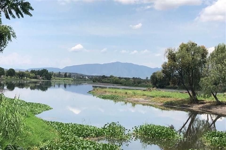 Enrique Velázquez de Hagamos, señaló que cuando un litro de tequila entra a las barricas, entre siete y 11 litros de líquido de desecho caen sobre la tierra o se vierten en cuerpos de agua.