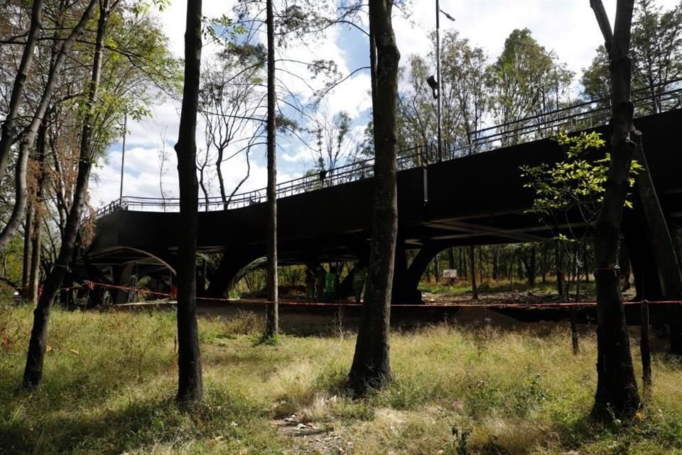 Trabajadores señalan que las obras de construcción de la Calzada Flotante en el Bosque de Chapultepec están casi terminadas.