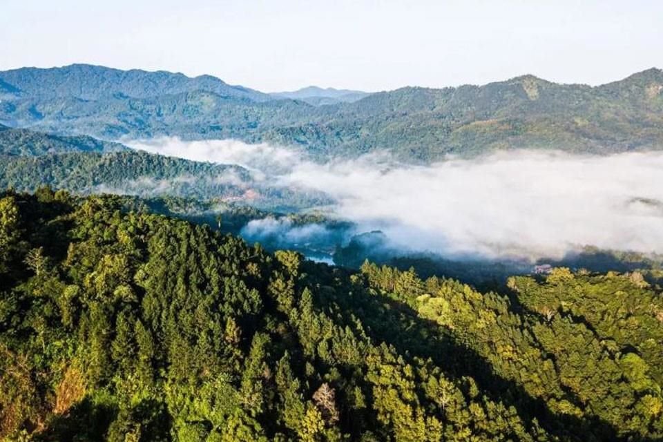 Paisaje del Parque Nacional de la Selva Tropical de Hainan.