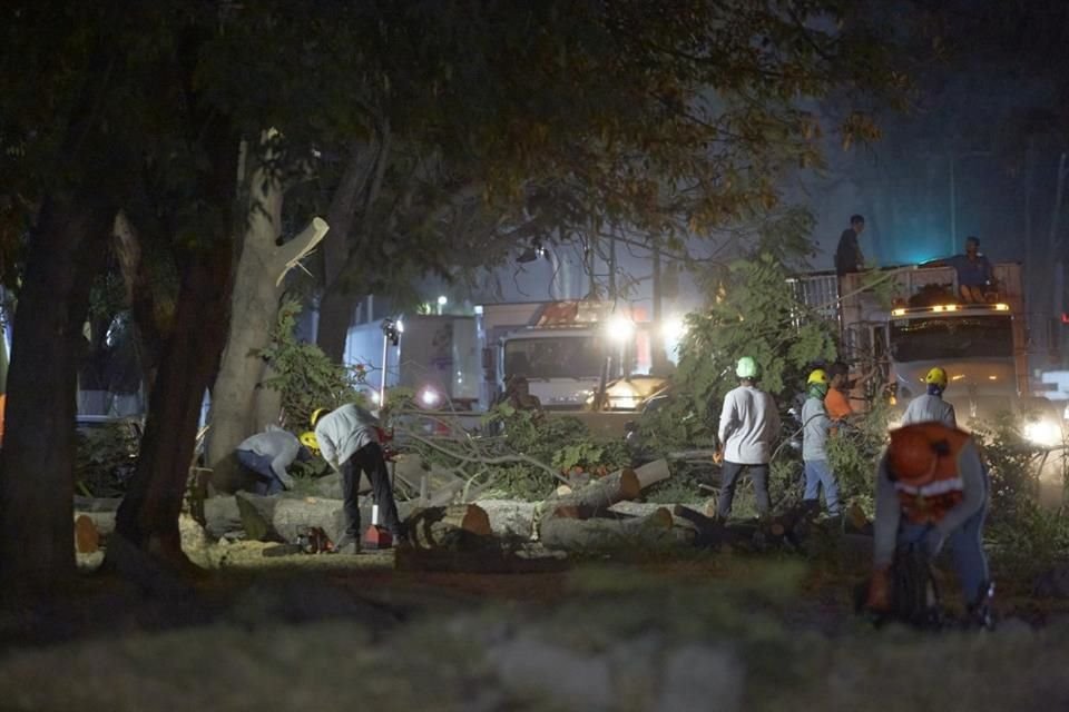 Debido a los inicio de la construcción de los carriles laterales de Prol. Mariano Otero, decenas e árboles fueron talados anoche entre las Av. Tepeyac y Agustin Melgar.