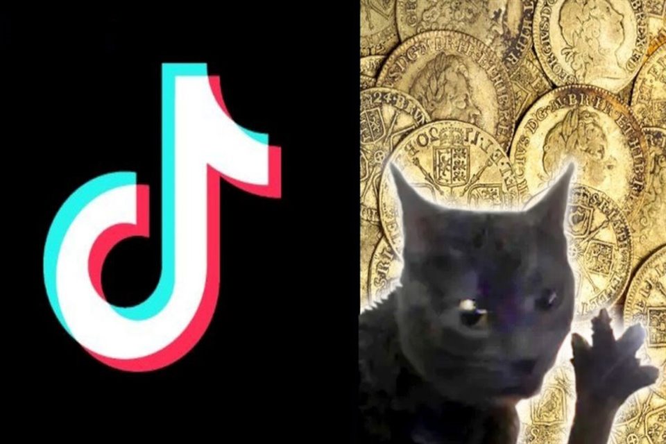 Usuarios de TikTok crearon en la aplicación una economía colectiva basada en una moneda ficticia: los dabloons, que pueden intercambiarse por productos -también ficticios- como alojamiento, comida y ropa. 