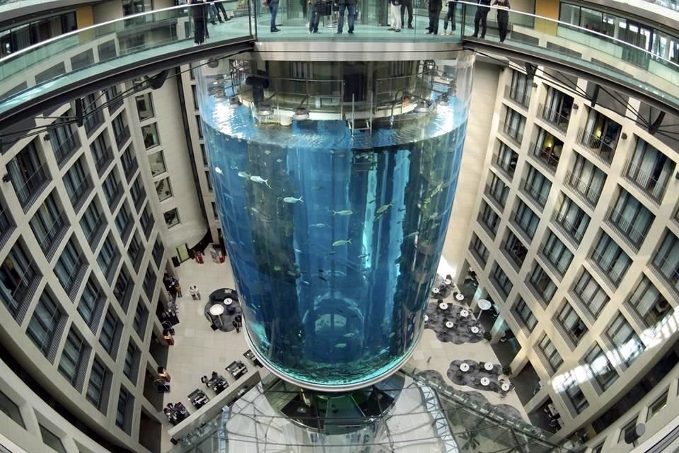 El AquaDom, una estructura de unos catorce metros de altura, se presenta en su página web como 'el acuario cilíndrico más grande del mundo'.