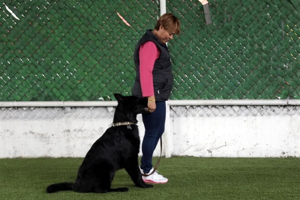 Policías PBI dieron un curso de obediencia para perros, cualquier persona que tenga un perro lo puede realizar para que su mascota aprenda órdenes básicas.