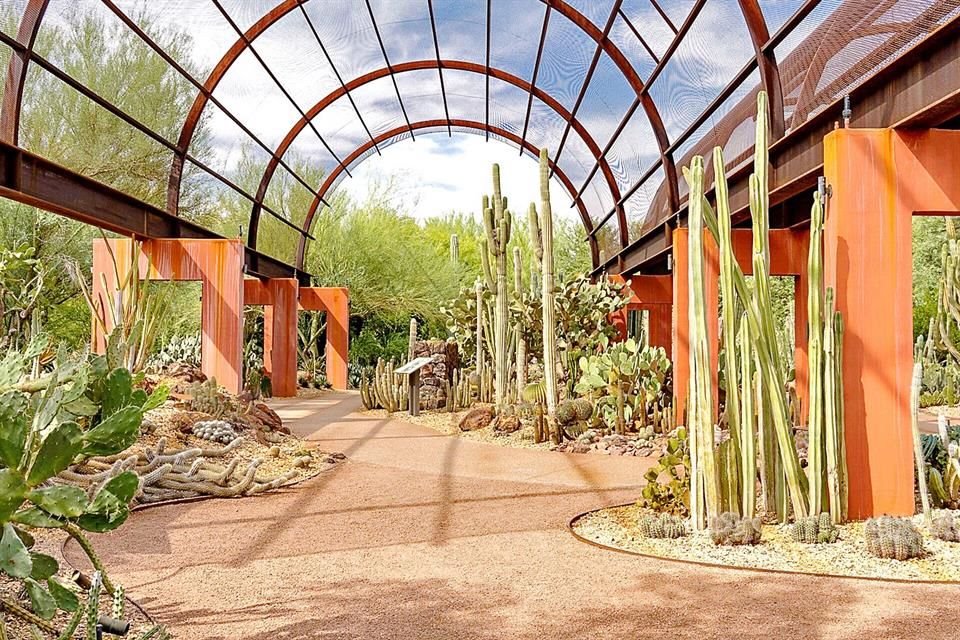 Jardín Botánico del Desierto.