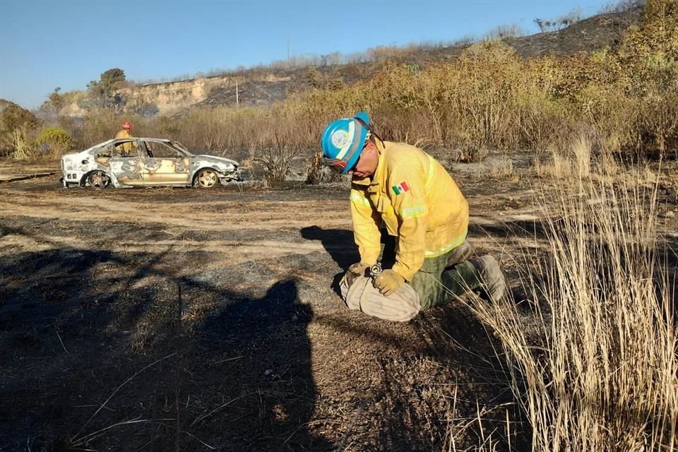 El siniestro fue combatido y controlado por Protección Civil y Bomberos de Zapopan, así como una brigada de la Secretaría de Medio Ambiente y Desarrollo Territorial (Semadet).