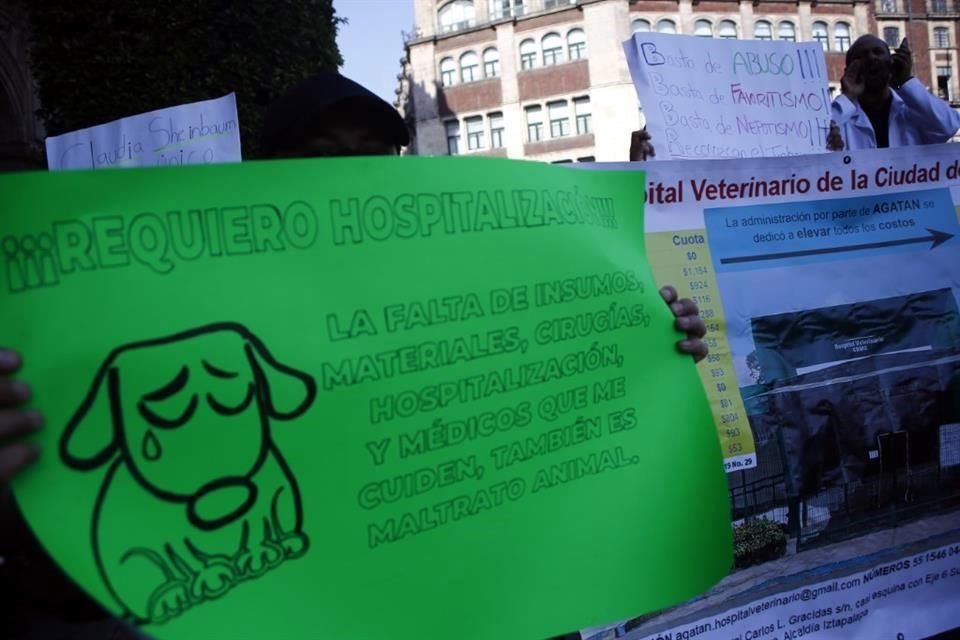 Actualmente, no se realizan cirugías por falta de insumos, incluso, veterinarios deben llevar sus herramientas para atender a los animales.