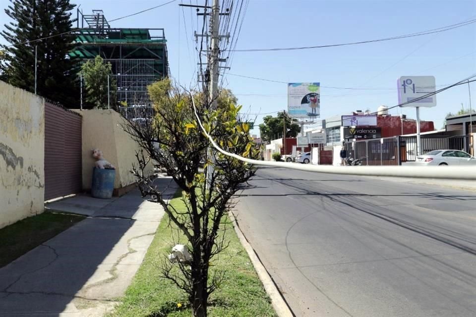 En toda la Ciudad hay cables colgando, en desuso, que son un riesgo.