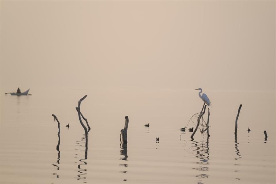 En Jalisco, existen 13 humedales declarados sitios Ramsar debido a la relevancia de su función ecológica.