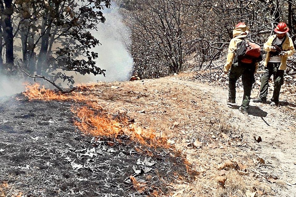 El presupuesto que se destinará este año para prevenir y combatir incendios en bosques de Jalisco es similar al del año pasado. 