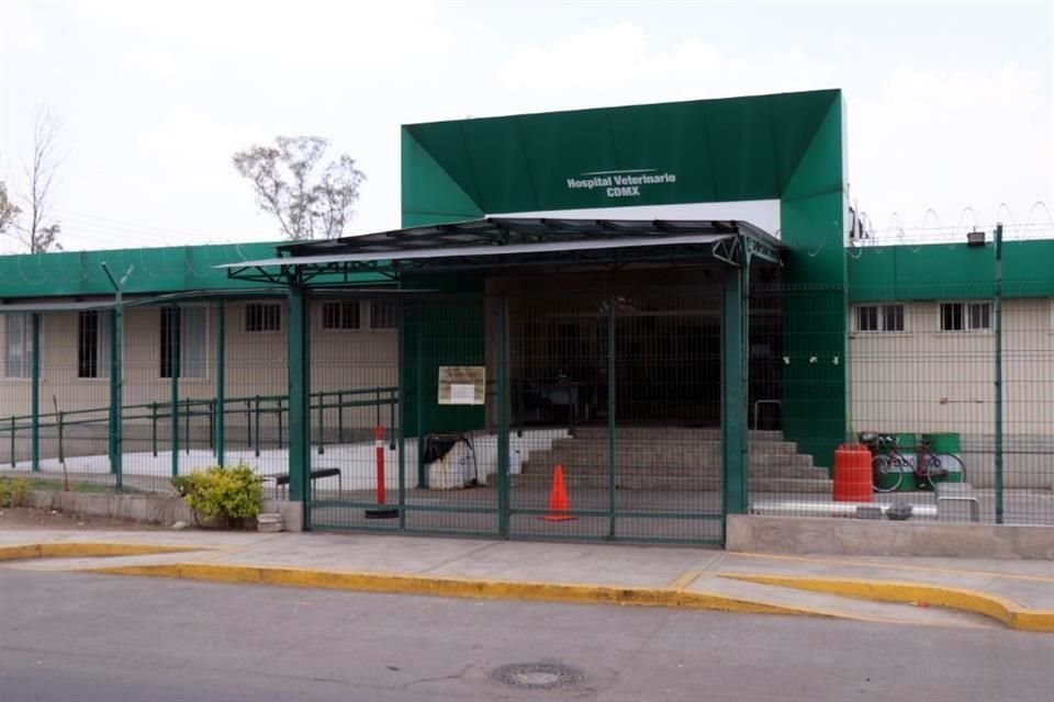 Trabajadores de Hospital Veterinario de la CDMX señalaron que el inmueble solía operar con guardias para no suspender el servicio.