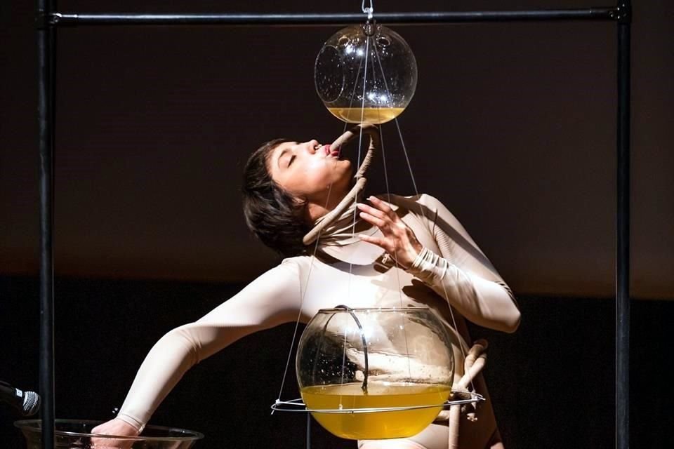 El Festival Lit & Luz  de Lengua, Literatura y Arte se llevará a cabo del 7 al 11 de marzo en El Chopo.