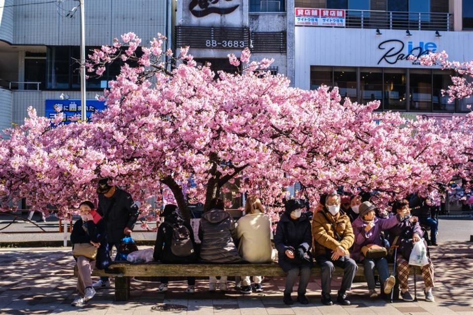 Autoridades japonesas advirtieron por una caída en la tasa de natalidad.