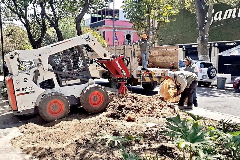 Con un barreno en forma de taladro, atado a un carrito Bobcat, los tocones de los árboles que afloraban en el suelo, fueron pulverizados.