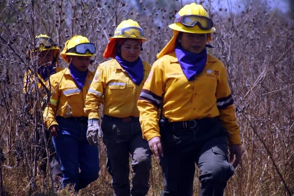 Hombres y mujeres trabajan en conjunto para combatir incendios forestales en la Ciudad de México, a través de brigadas de Corenader.