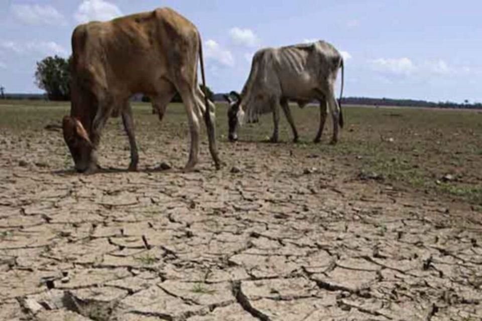 En más del 90 por ciento de México las lluvias alcanzaron sus niveles máximos alrededor de la década de 1980 y disminuyen desde entonces.