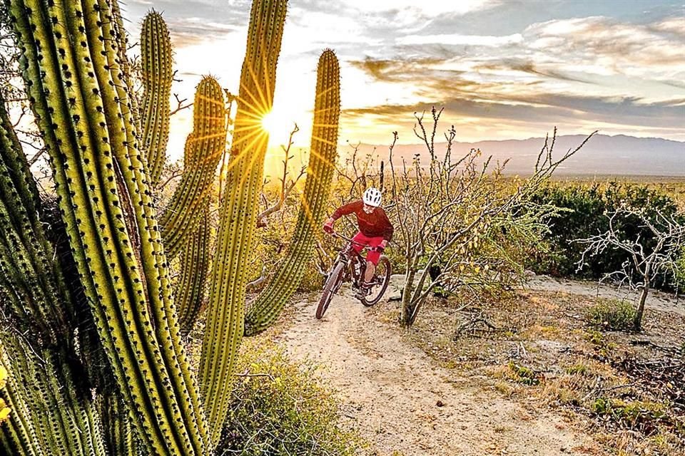 Bicicleta de montaña.